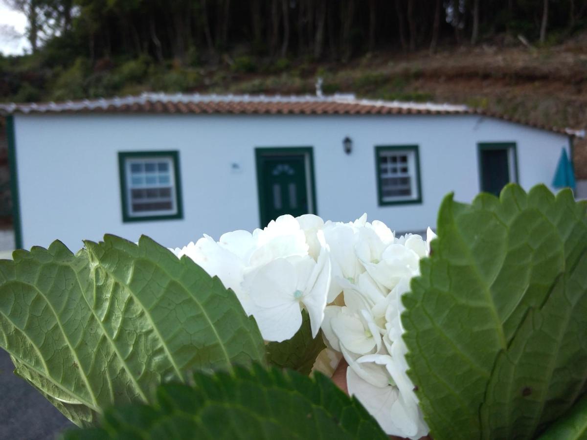 Vila Casa Dos Valentes Santo Espirito Exteriér fotografie